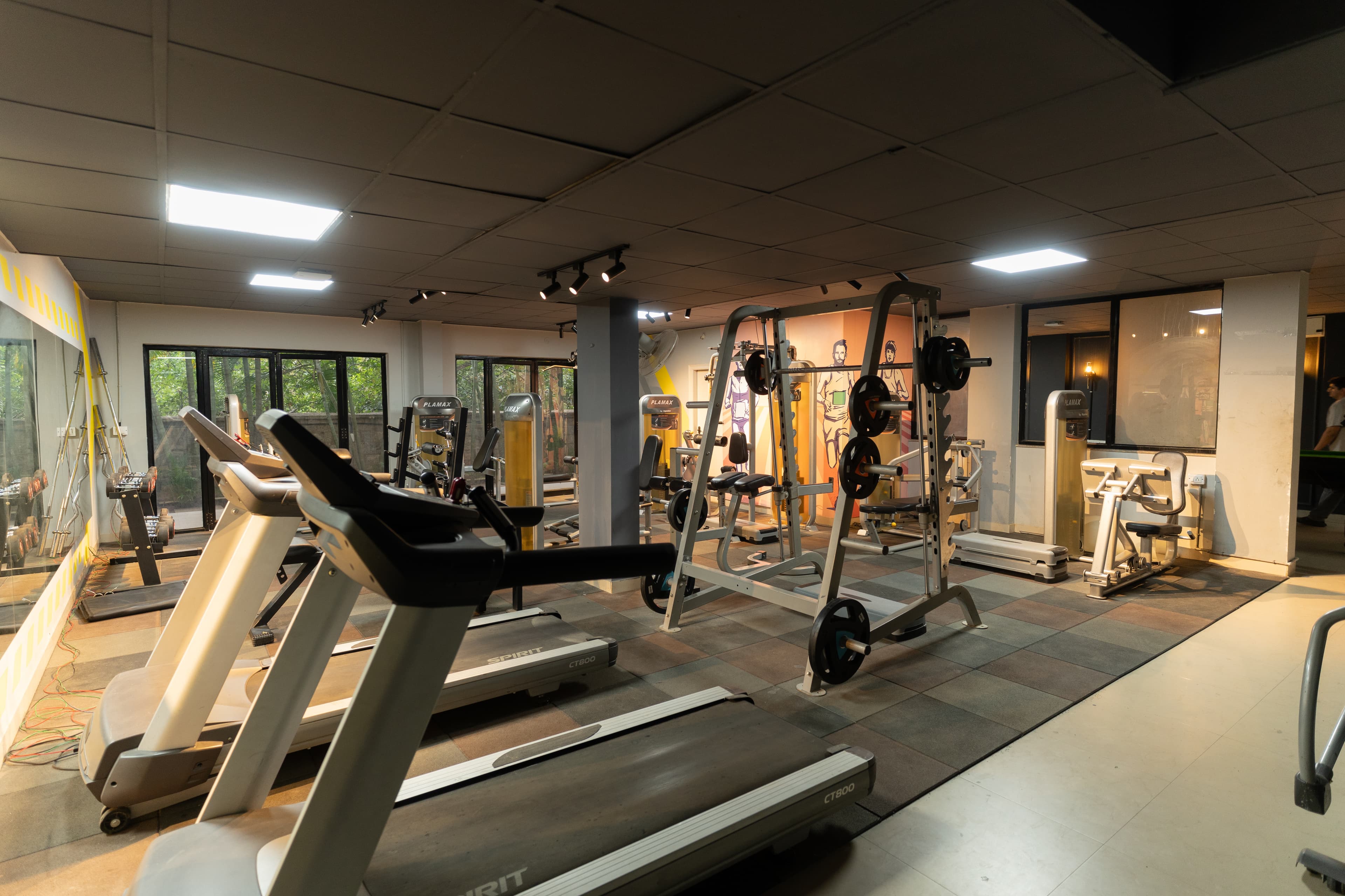 Gymnasium